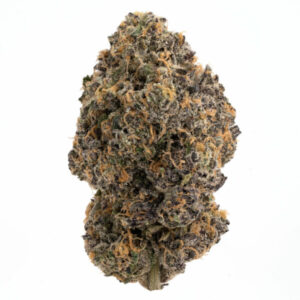 Photo of Bolo Runtz Strain​